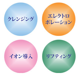 エレクトロポレーション(電気穿孔法)